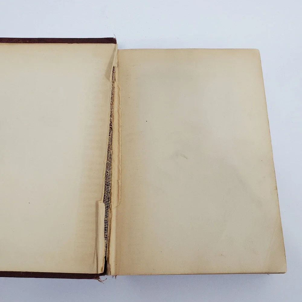 Charles Dickens Hard Times Pictures From Italy‎ Volume XII Antique Book